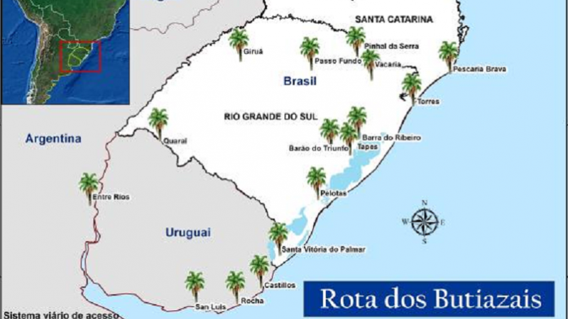 Rota dos Butiazais 2