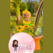 Perfil artesã Cecília